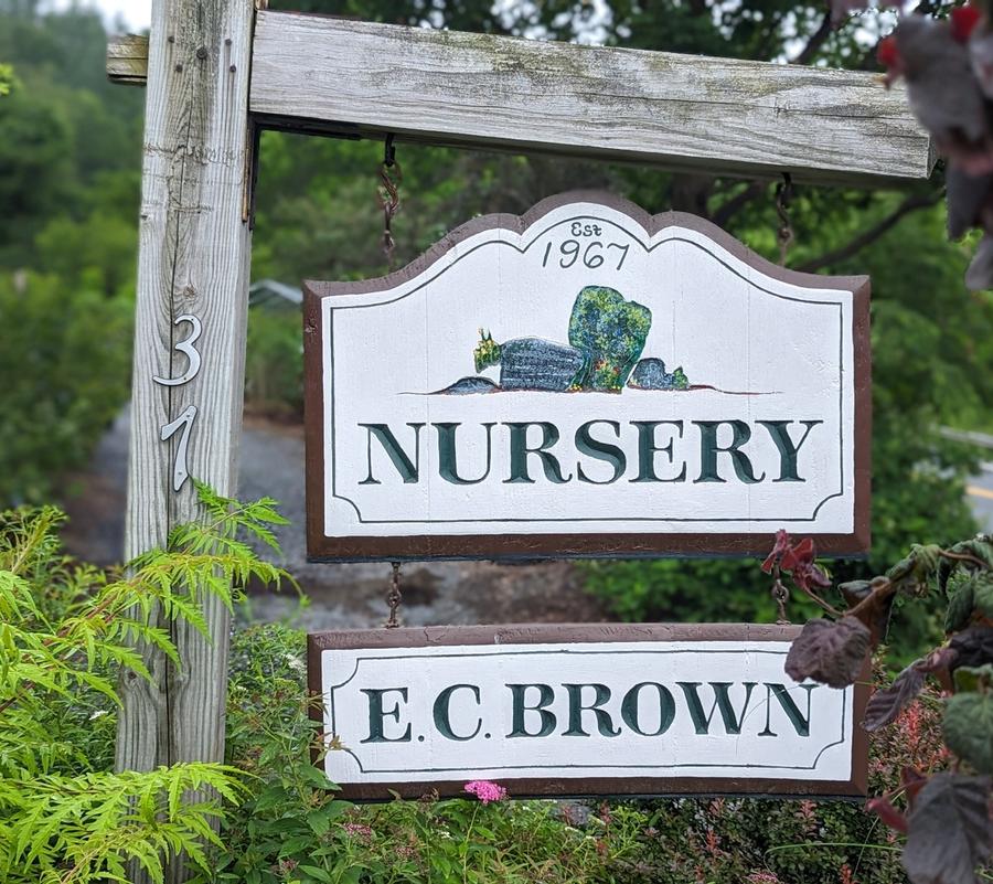 Your One-Stop Plant Shop