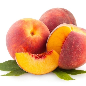 Peach 'Frost' - Frost Peach